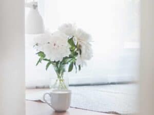 A white vase filled with white flowers sits on a table in a white room. A green houseplant sits next to it