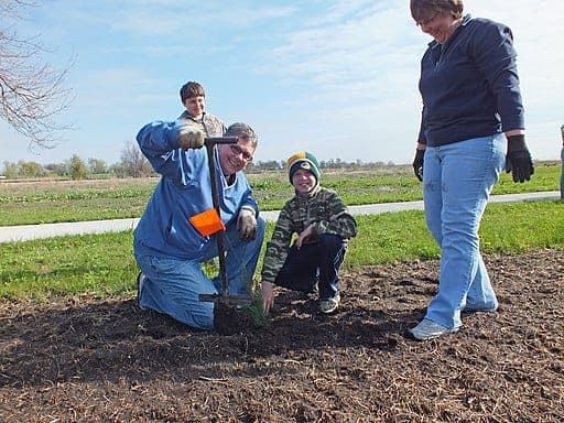 Photo of Grandmother and boy with a post hole digger, planting a tree in a freshly dug hole.