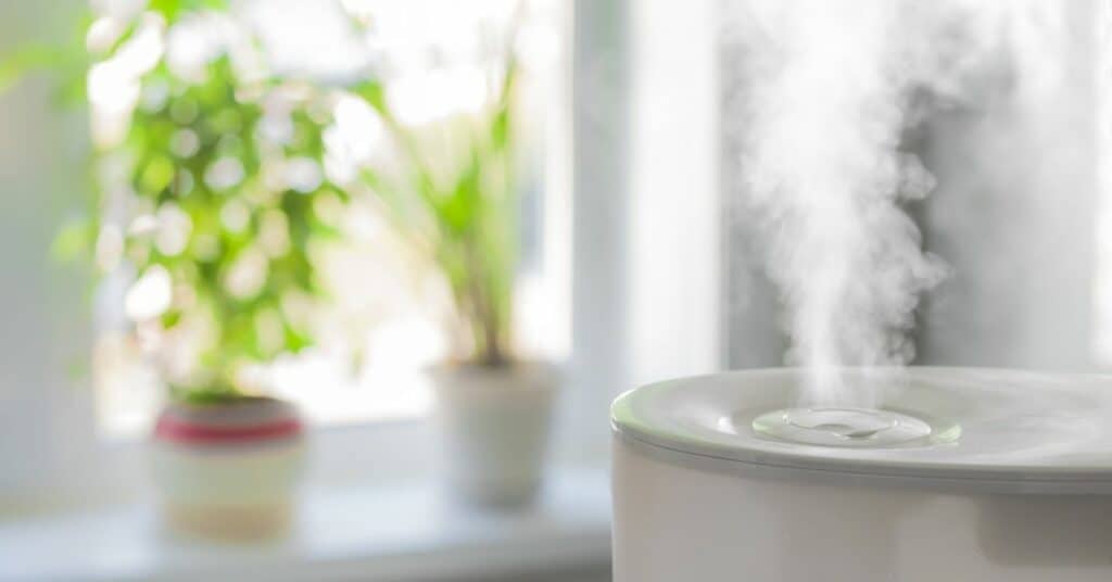 Pretty white room with a plant on the windowsill and a humidifier pouring steam into the air to fight the spread of Coronavirus.