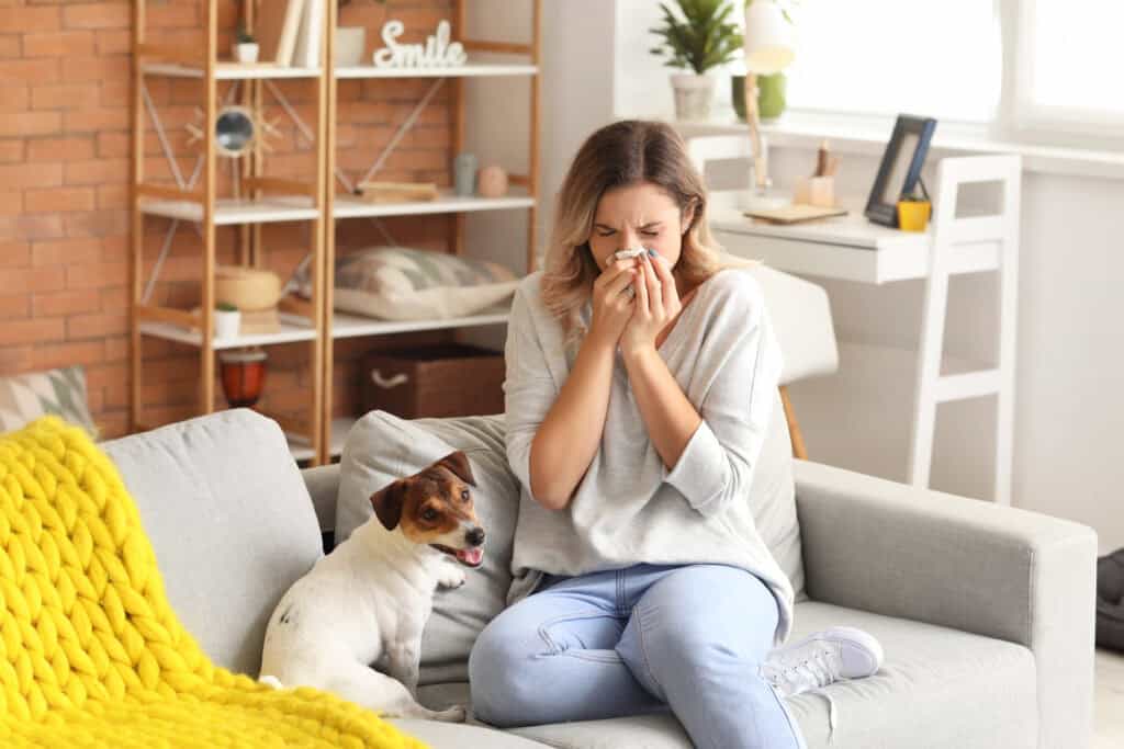 woman sitting on her couch next to small dog sneezing and blowing her nose due to poor indoor air quality solutions